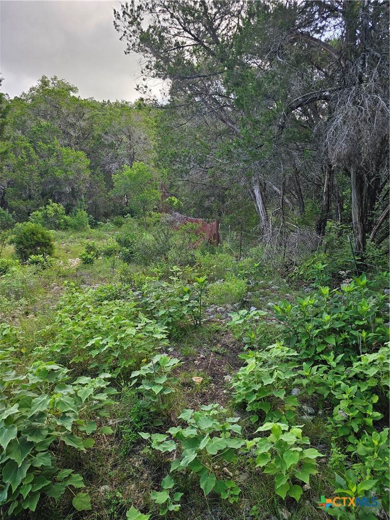 Tbd Happy Hollow Property Photo 5