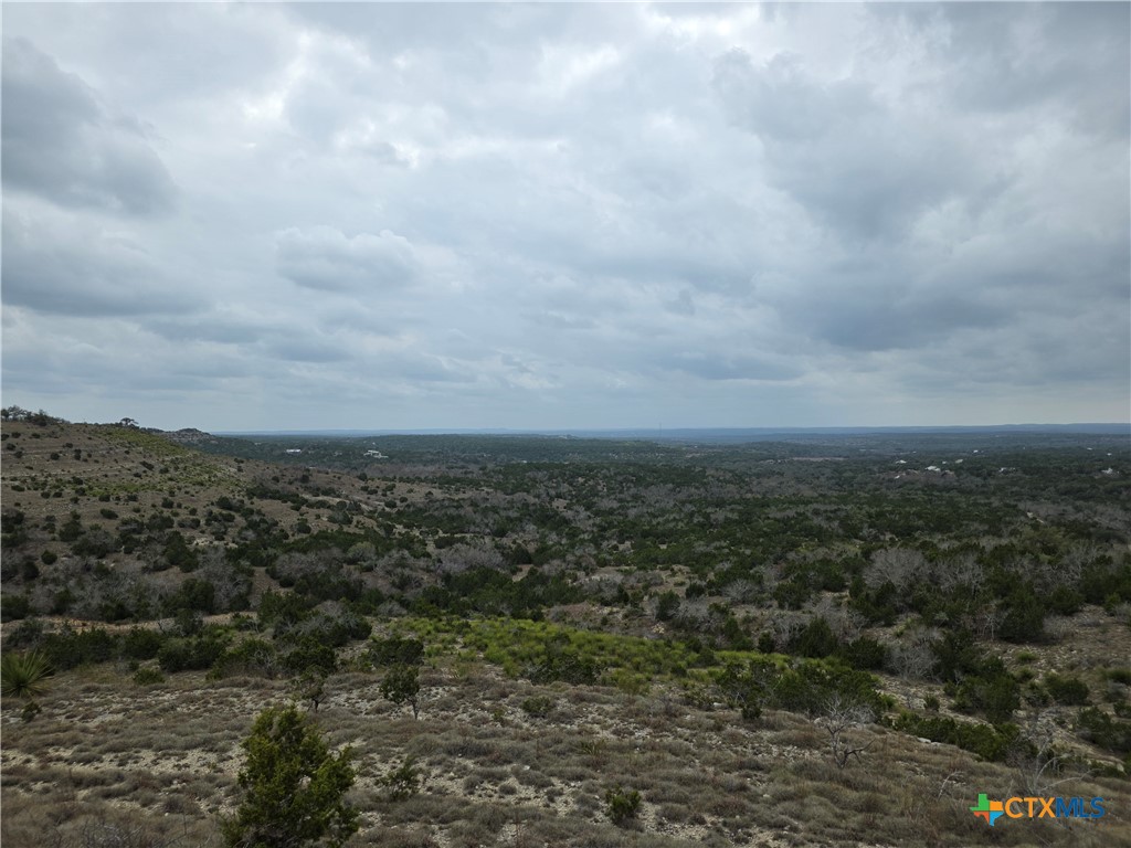 1017 Montell Road Property Photo 3
