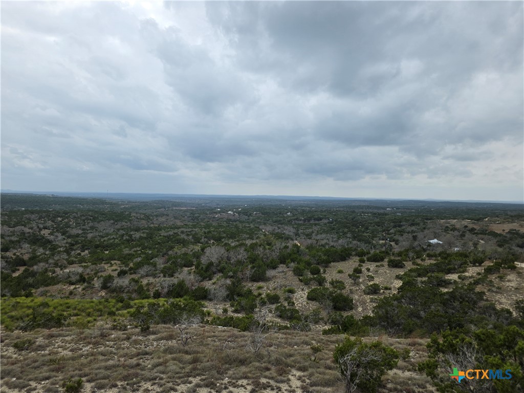 1017 Montell Road Property Photo 2