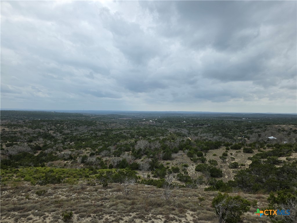 1017 Montell Road Property Photo 4