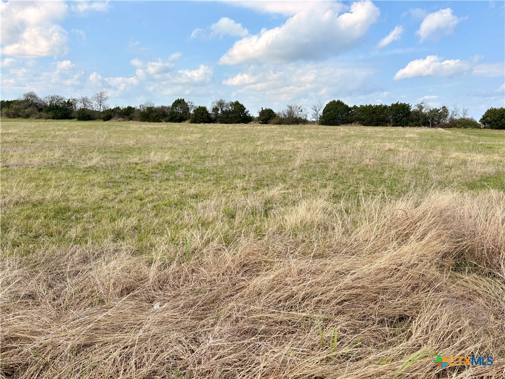 Tbd Cedar Mountain Road Property Photo 3