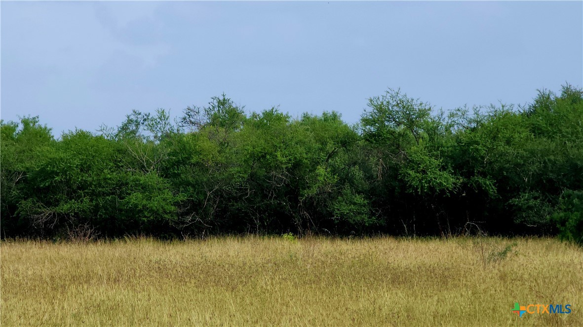 00 San Antonio River Road Property Photo 2