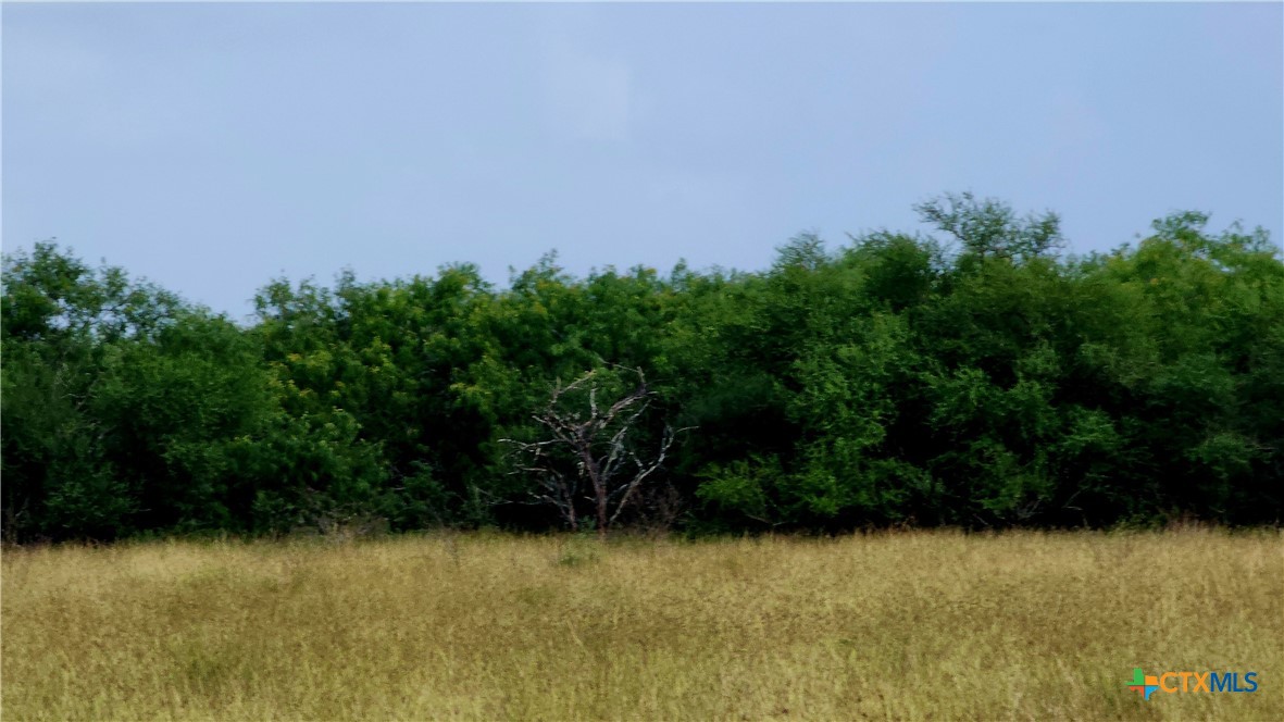 00 San Antonio River Road Property Photo 6