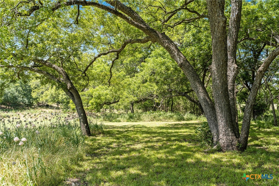 15646 Fm 2843 Property Photo 46