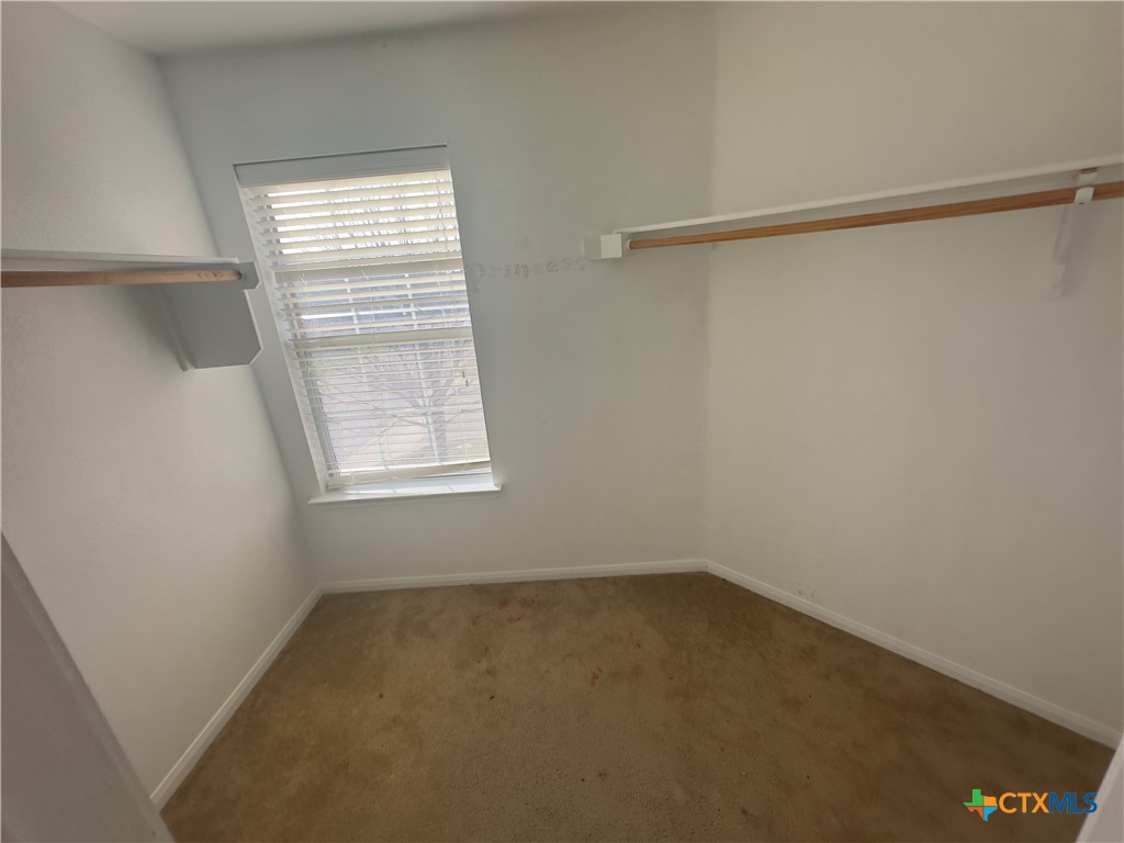2617 White Moon Drive Property Photo 9