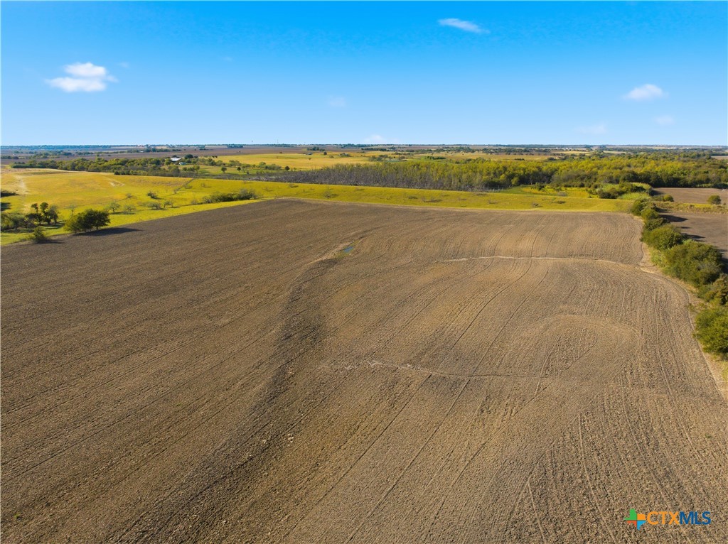 2663 W Crabb Road Property Photo 8