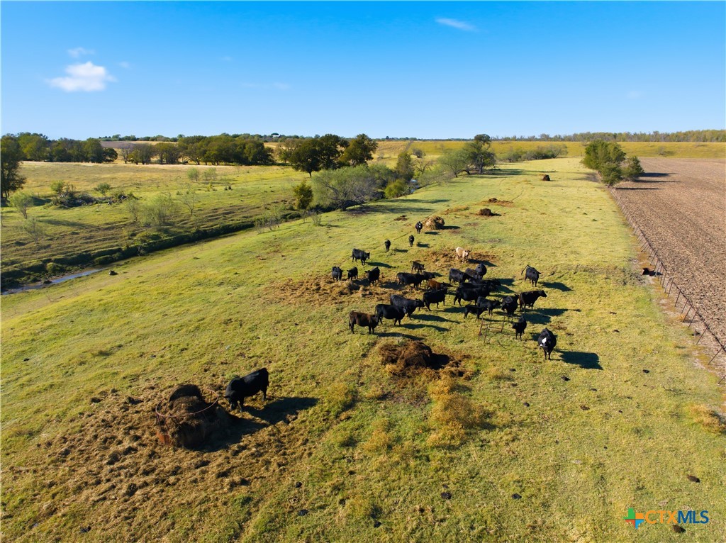 2663 W Crabb Road Property Photo 16