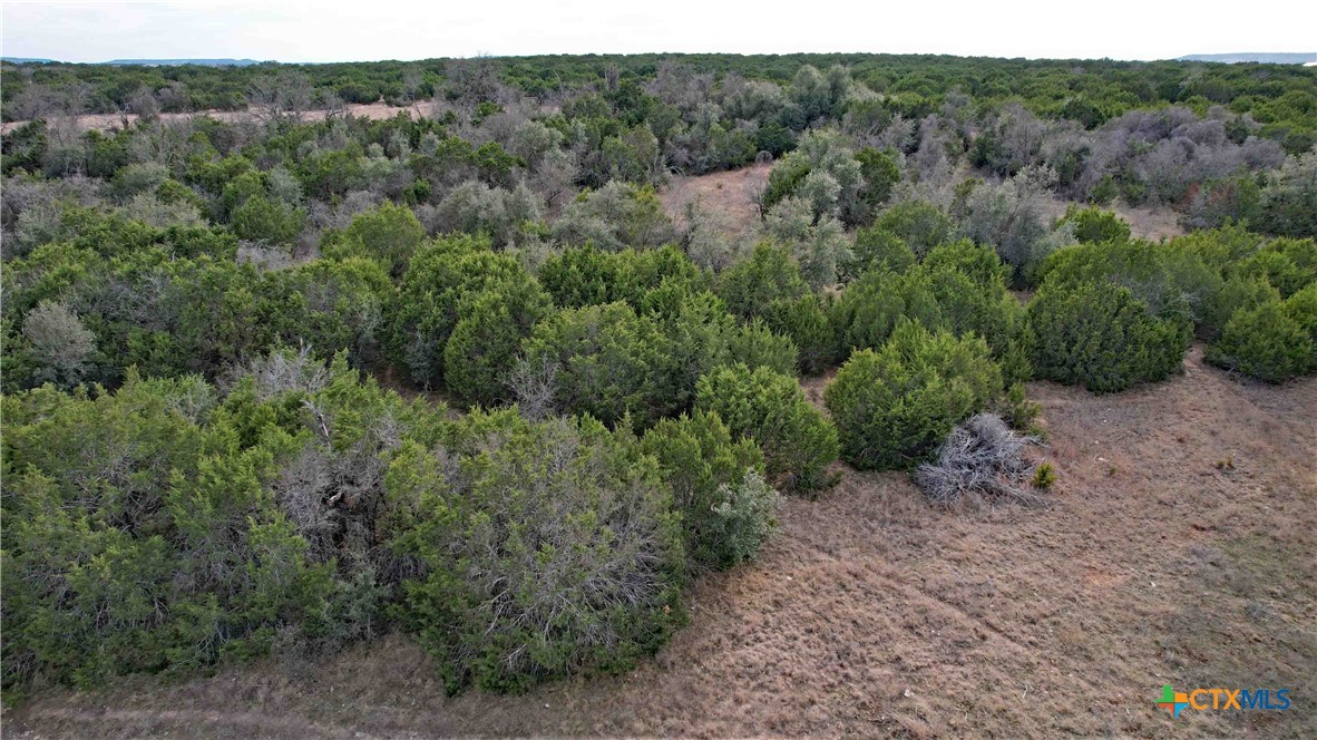 410 King Ranch Trail Property Photo 9