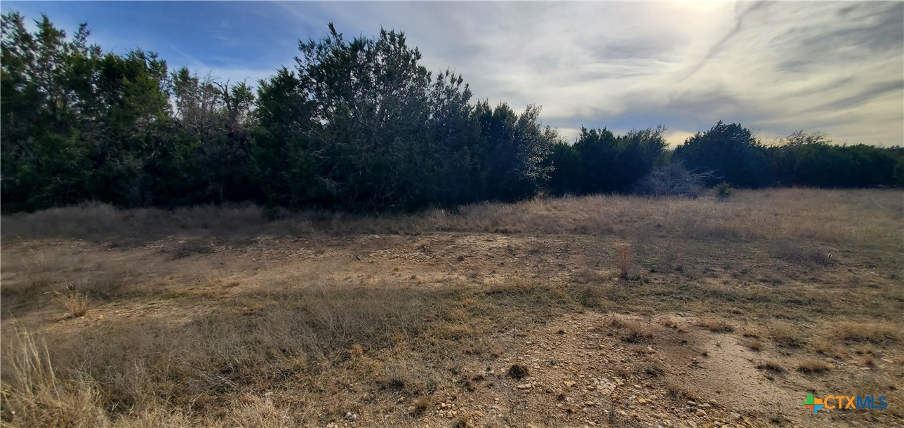 410 King Ranch Trail Property Photo 10