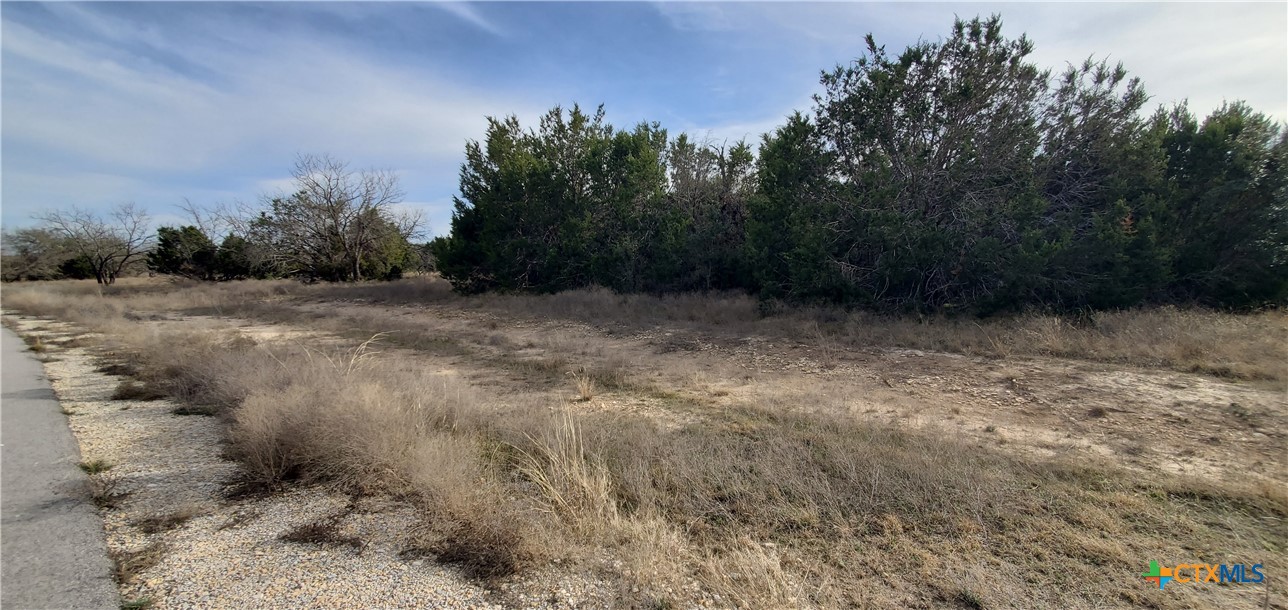 410 King Ranch Trail Property Photo 12