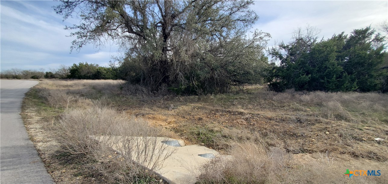 410 King Ranch Trail Property Photo 13