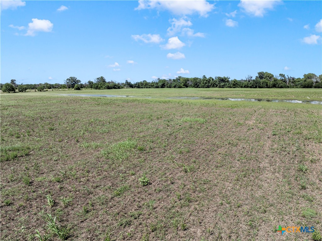 Tbd Fm 1858 Property Photo 11
