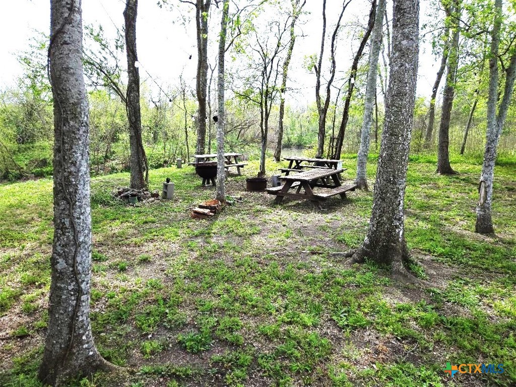 922 Us Highway 59 Property Photo 7