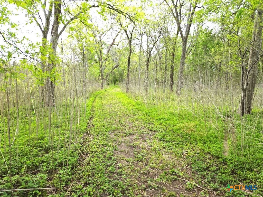 922 Us Highway 59 Property Photo 15