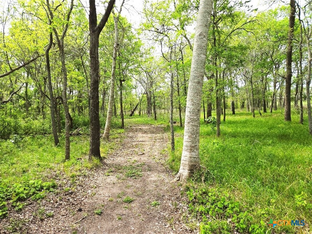 922 Us Highway 59 Property Photo 16