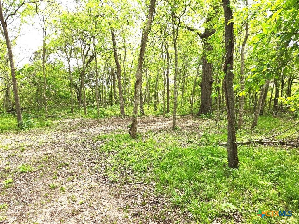 922 Us Highway 59 Property Photo 18