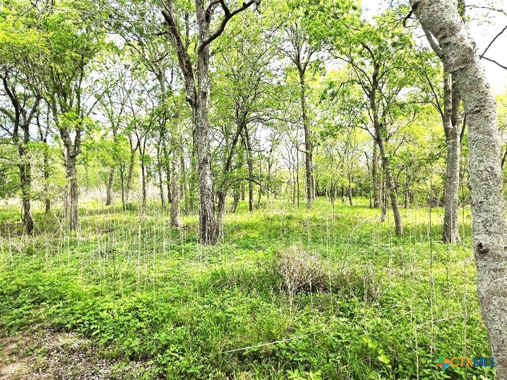 922 Us Highway 59 Property Photo 19