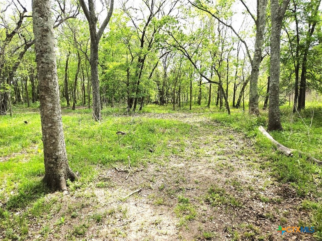 922 Us Highway 59 Property Photo 20