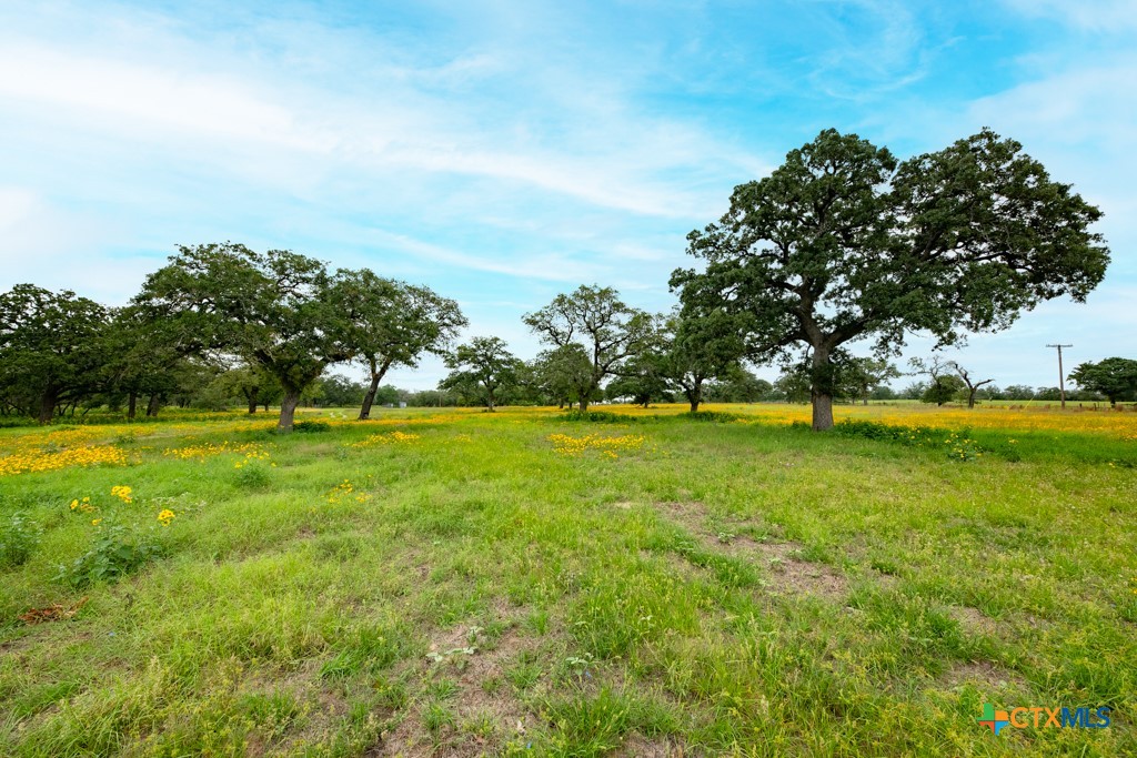 104 Longhorn Road Property Photo 25