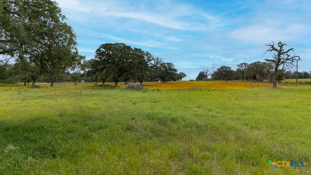104 Longhorn Road Property Photo 30