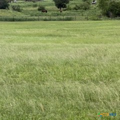 100 Mayfield Lane Property Photo 47