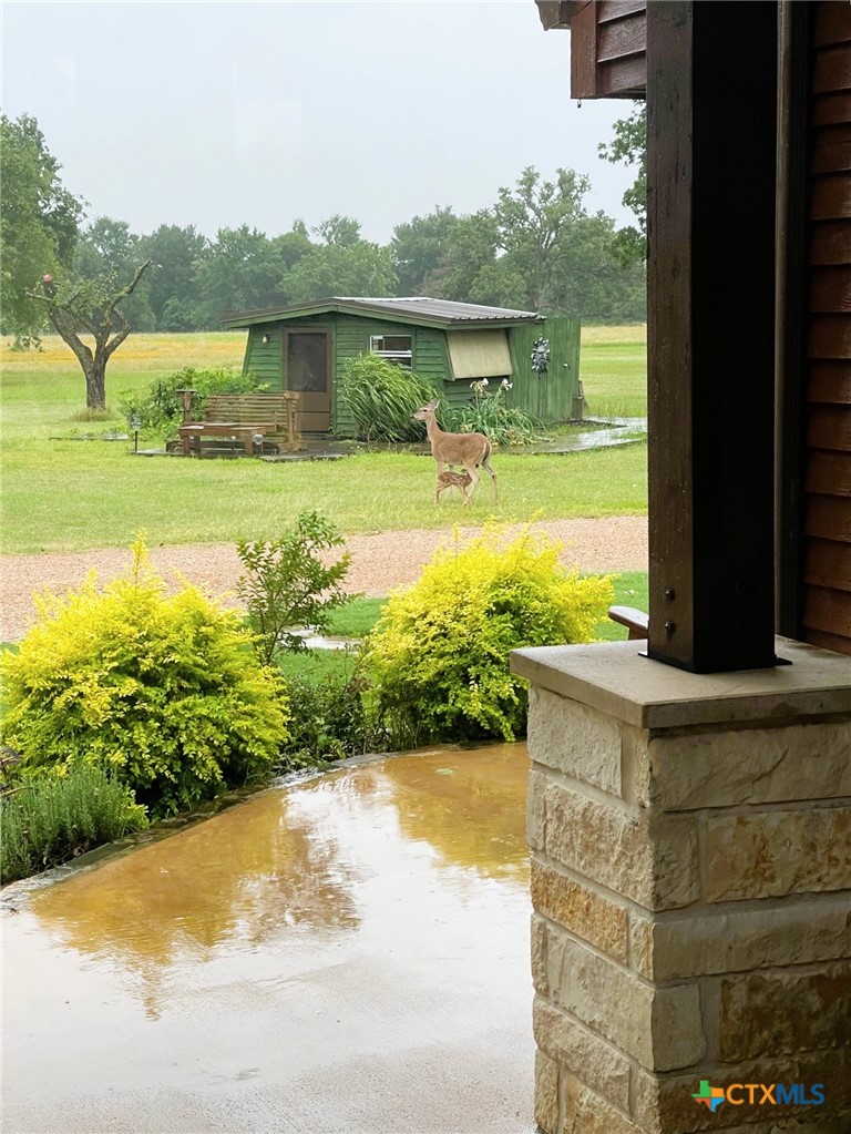 10794 Fm 2159 Property Photo 21