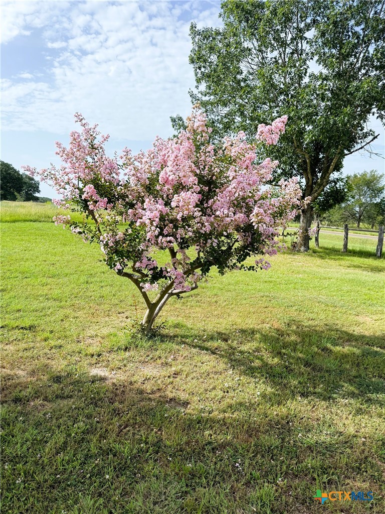 10794 Fm 2159 Property Photo 27