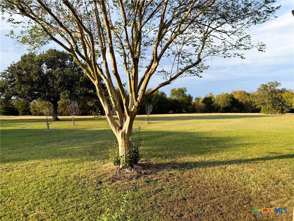 10794 Fm 2159 Property Photo 28