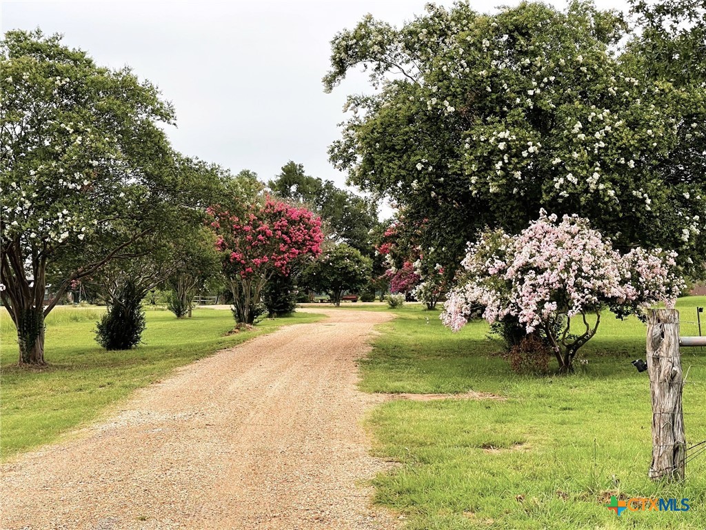 10794 Fm 2159 Property Photo 40