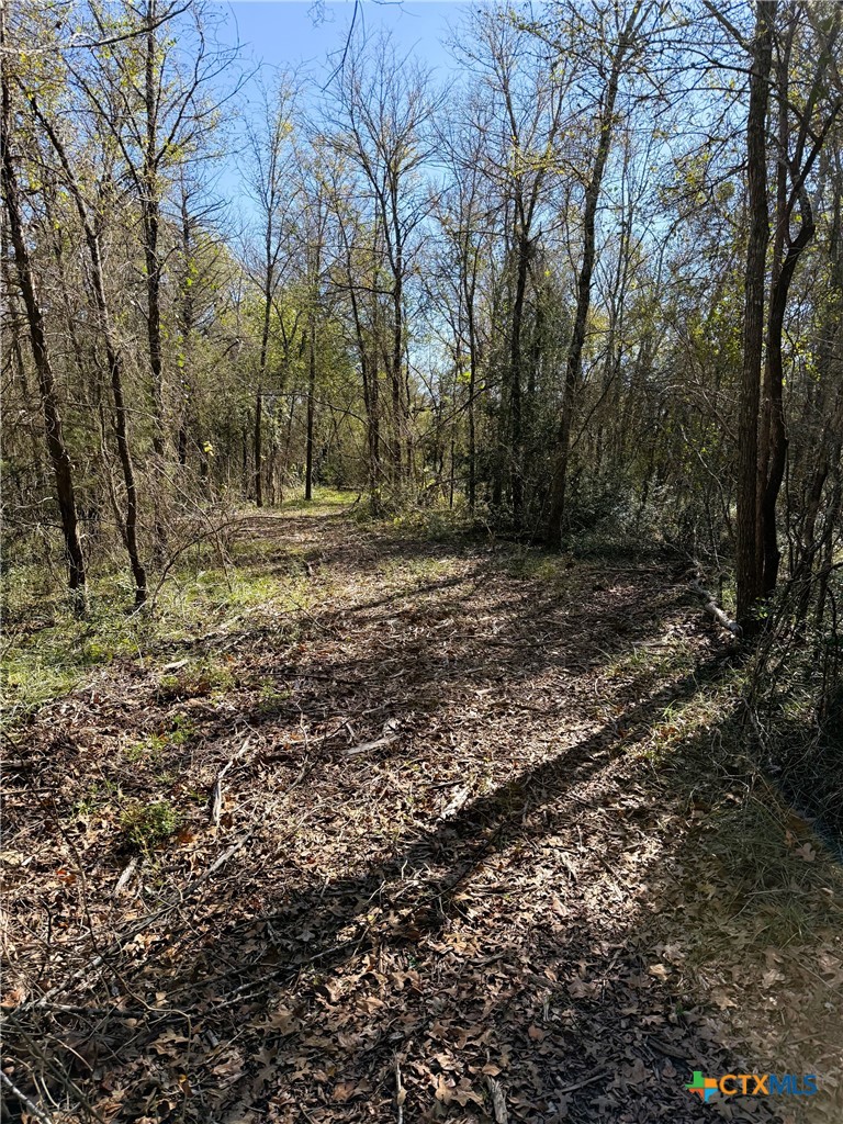 10794 Fm 2159 Property Photo 45