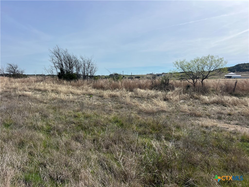 1192 Holden Loop Property Photo 4
