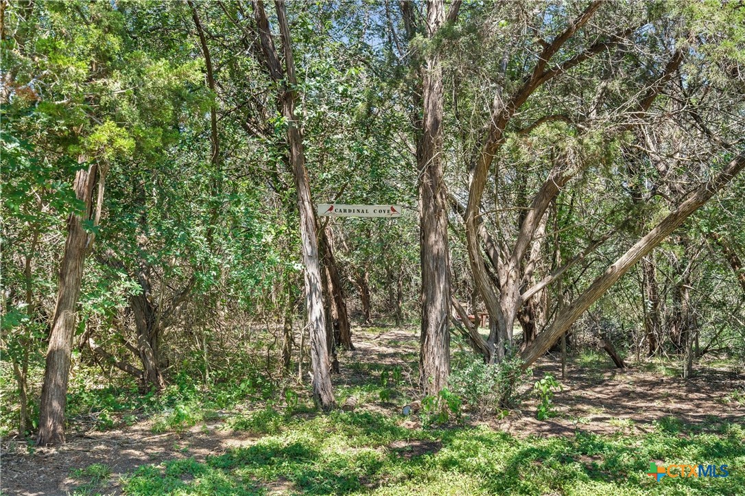 491 Lone Oak Road Property Photo 34