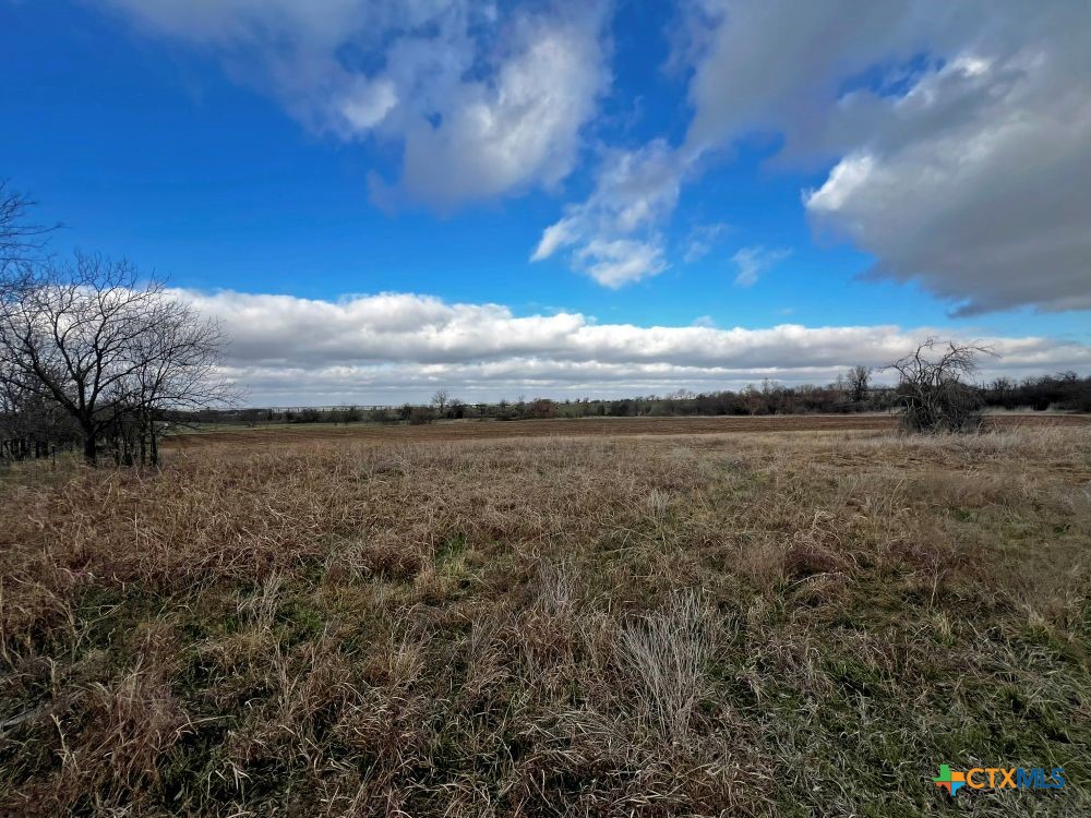 Tbd County Road 196 Property Photo 6