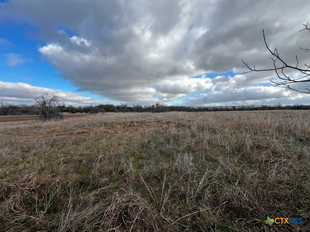 Tbd County Road 196 Property Photo 7