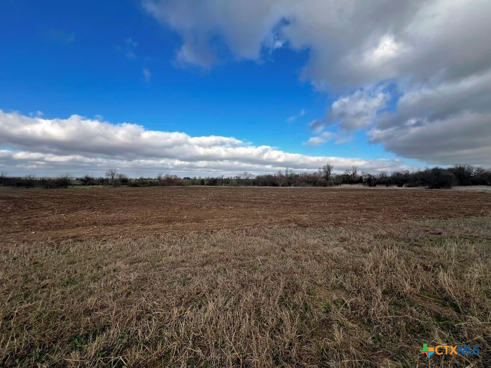 Tbd County Road 196 Property Photo 9