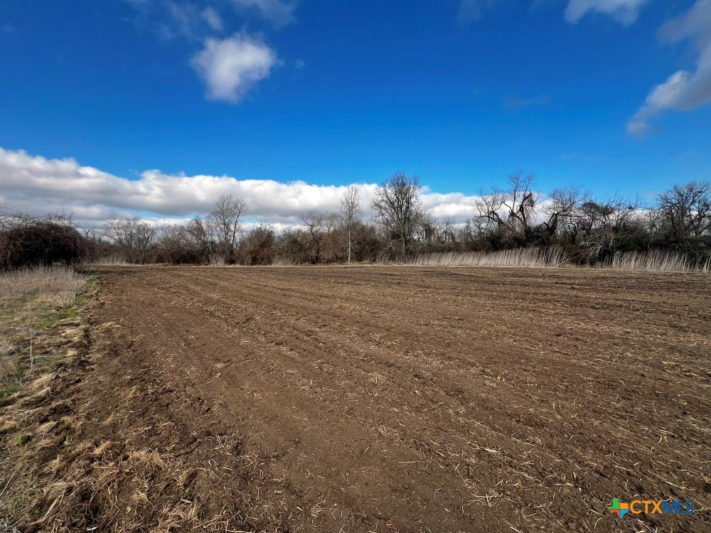 Tbd County Road 196 Property Photo 11