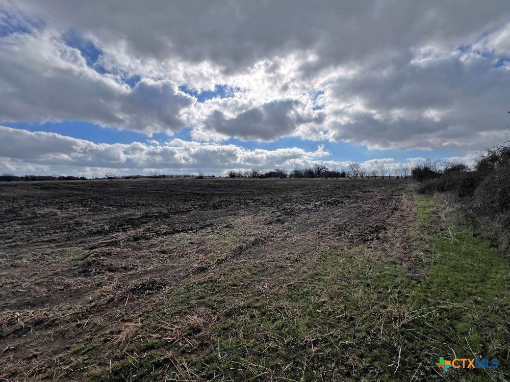 Tbd County Road 196 Property Photo 16