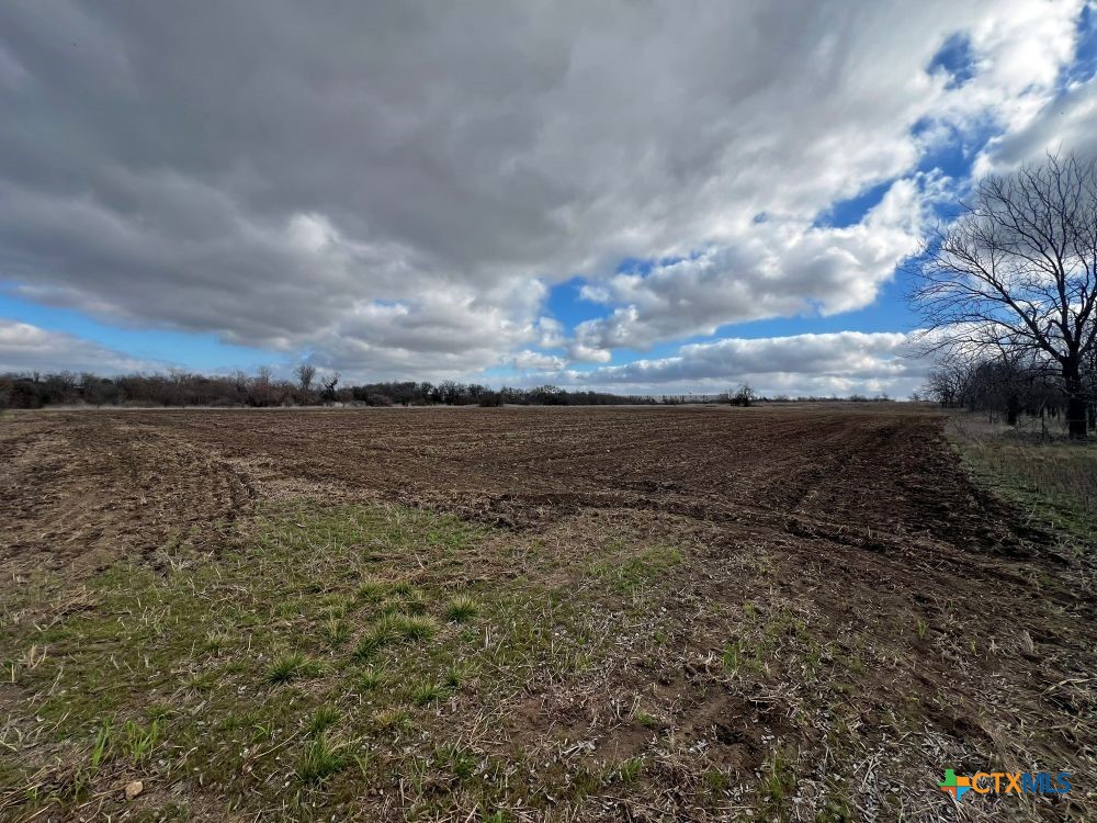 Tbd County Road 196 Property Photo 17