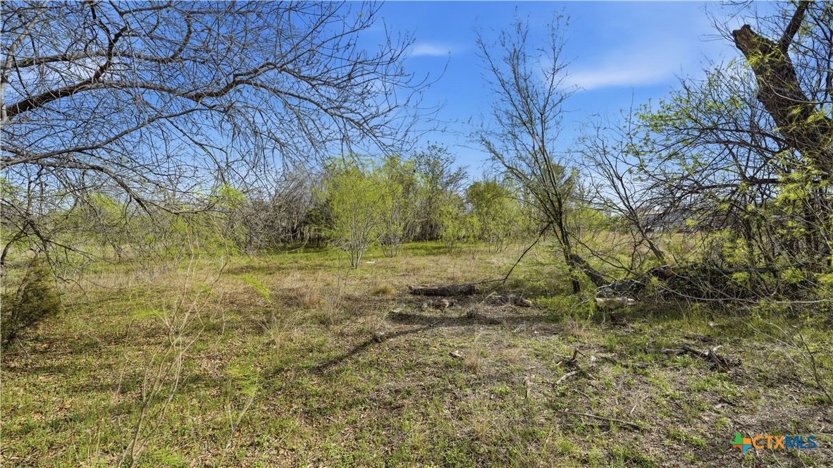 3939 Fm 482 Property Photo 38