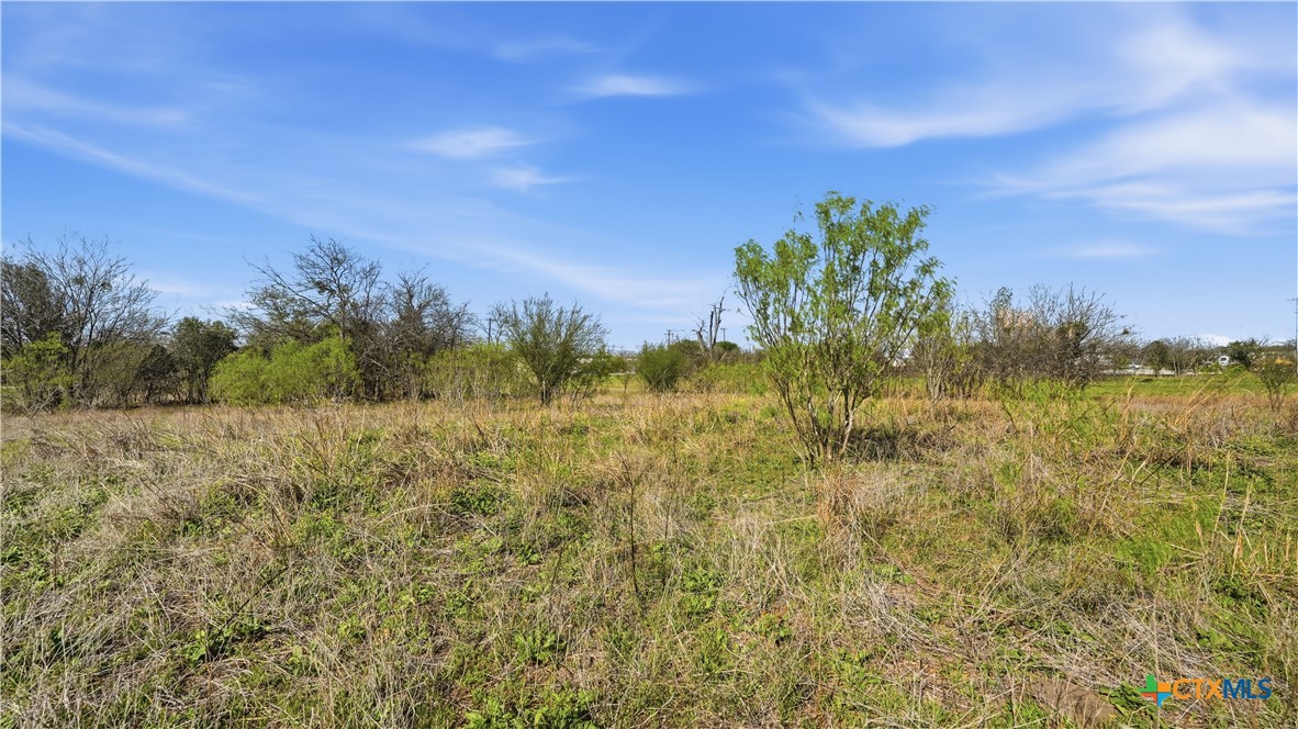 3939 Fm 482 Property Photo 41