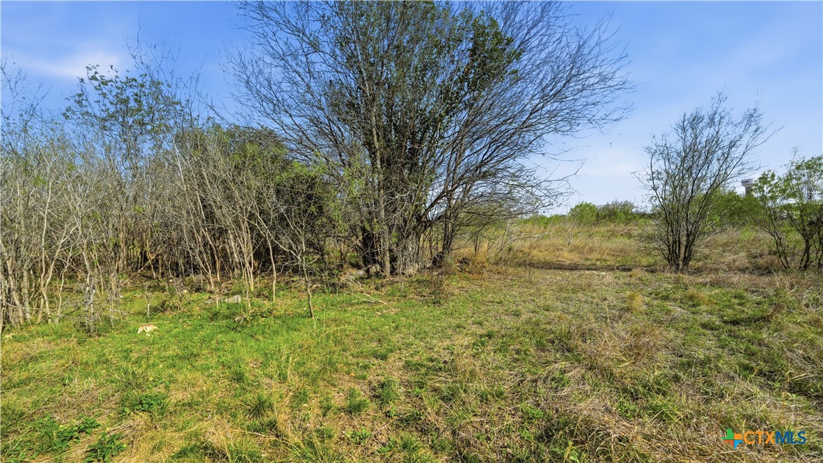 3939 Fm 482 Property Photo 42