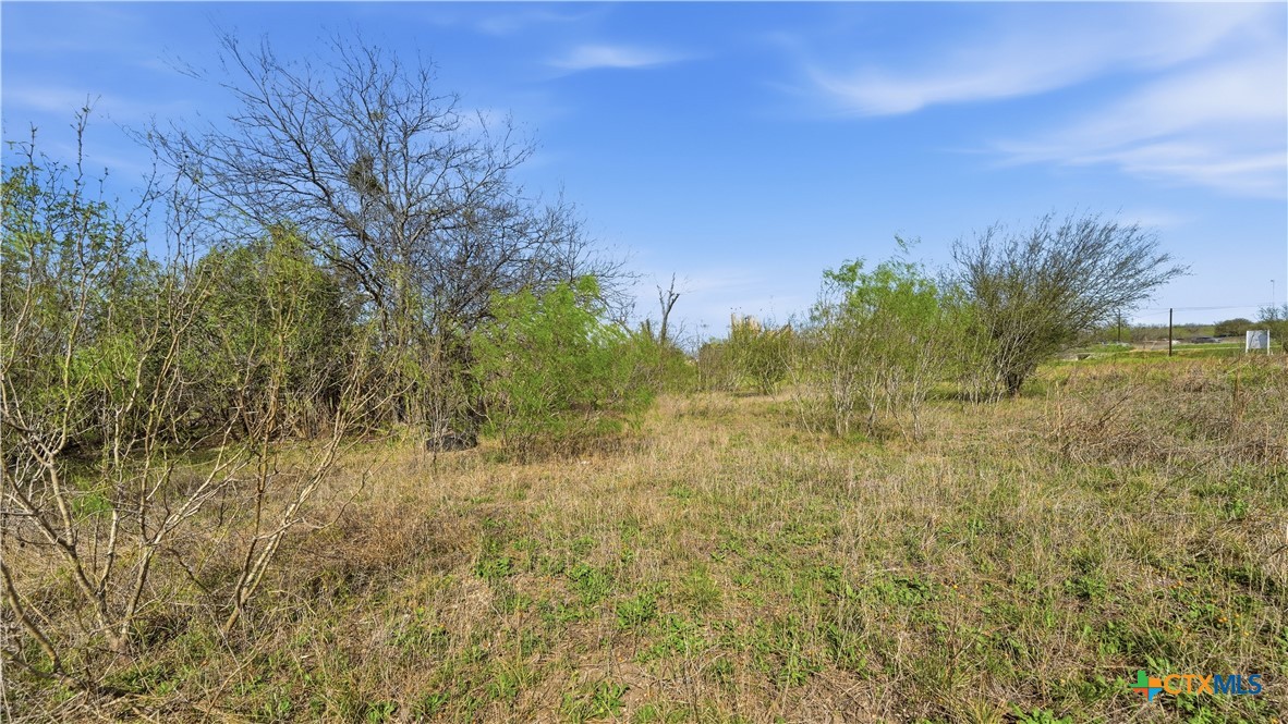 3939 Fm 482 Property Photo 43