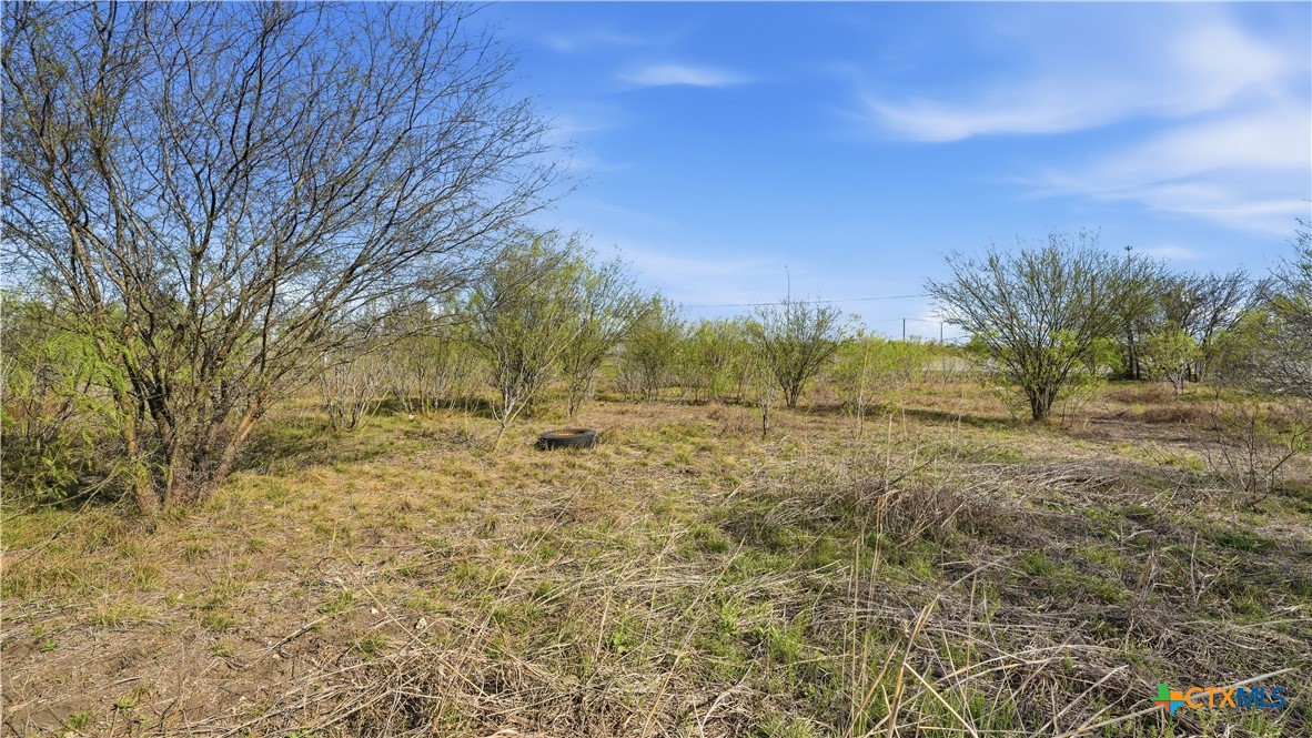 3939 Fm 482 Property Photo 46