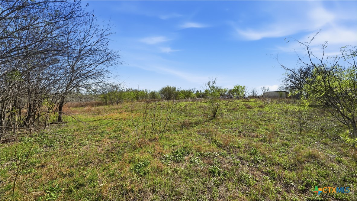 3939 Fm 482 Property Photo 48