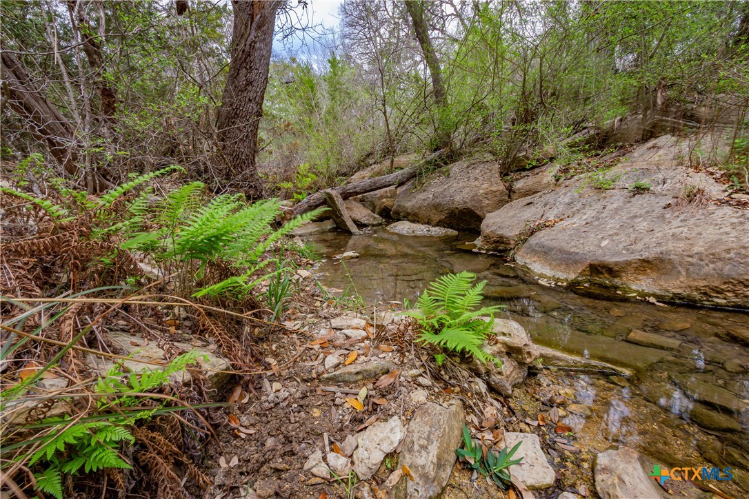 250 Mail Route Road Property Photo 2