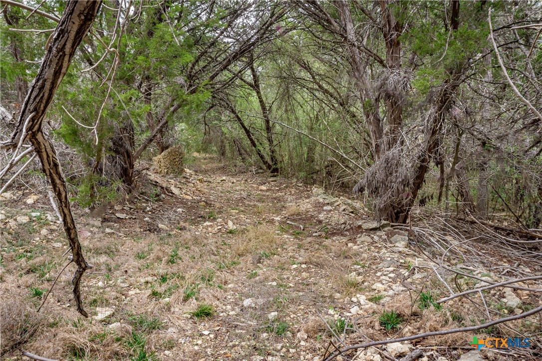 250 Mail Route Road Property Photo 14