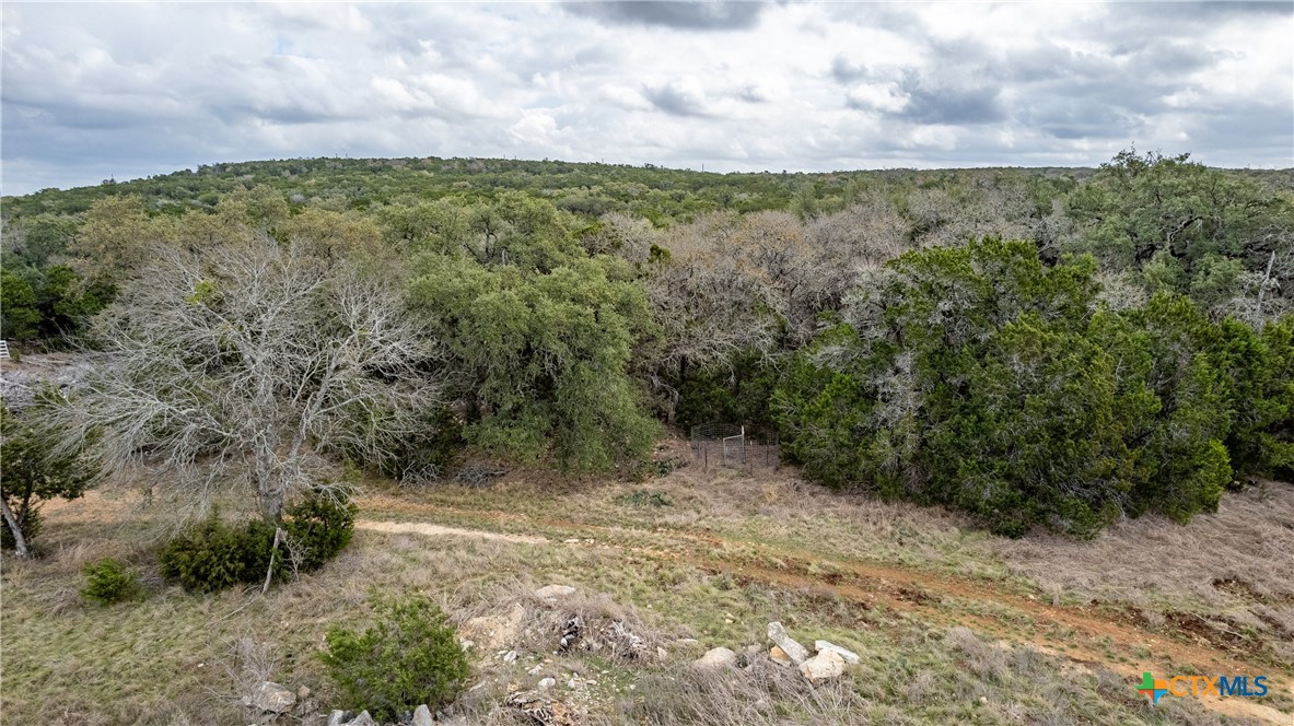 250 Mail Route Road Property Photo 18