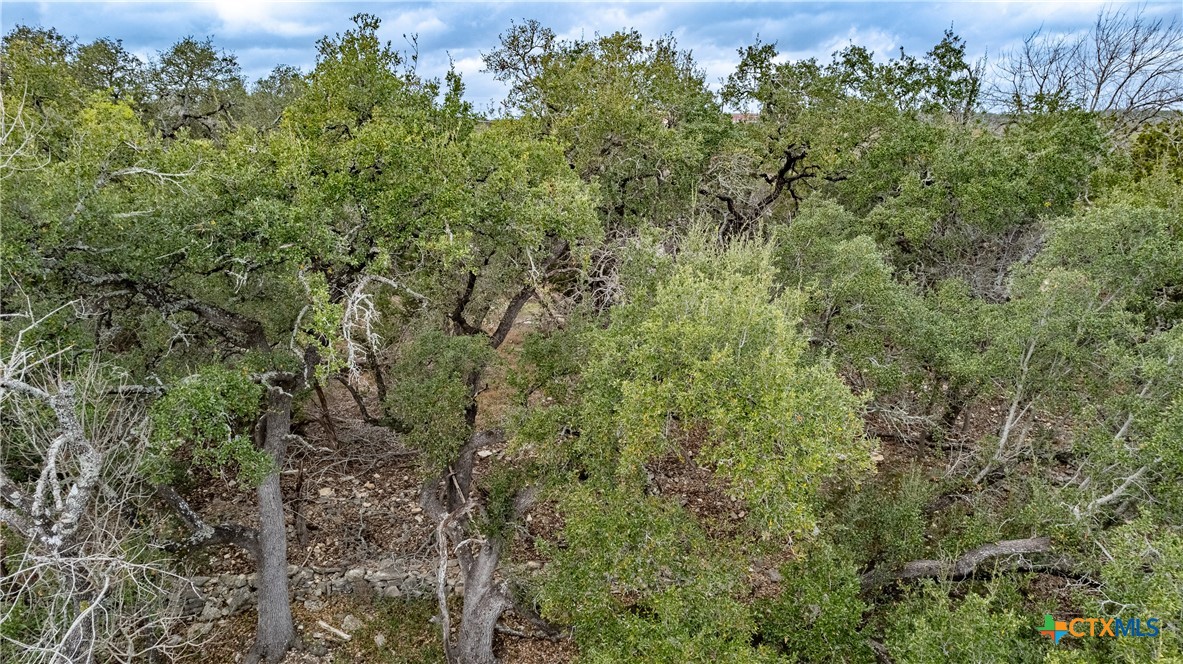 250 Mail Route Road Property Photo 19