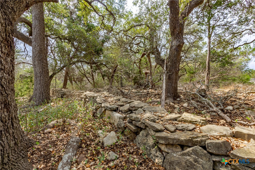 250 Mail Route Road Property Photo 32