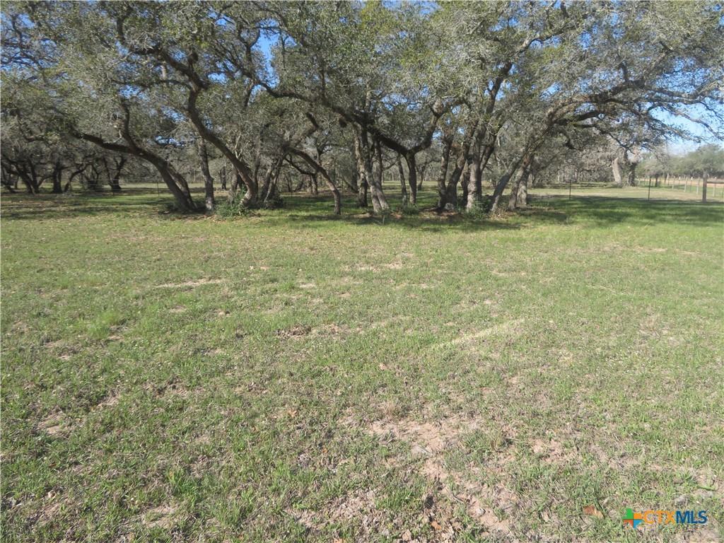 1923 Co Rd 286 Property Photo 1